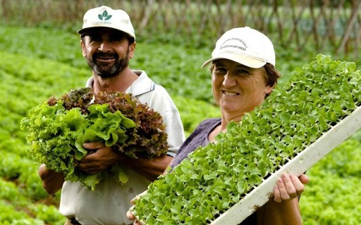 Expedição Vai Retratar A Agricultura Familiar No Brasil Revista Globo Rural Agricultura 2283