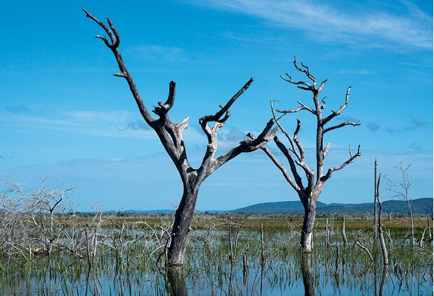 Iniciativa “Documenta Pantanal” - Nesta outra imagem, o resultado do rio Taquari, um dos maiores desastres ecológicos do Brasil, que inundou de forma irreversível 10% do Pantanal (Foto: João Farkas )