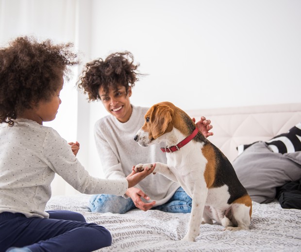 Crianças brincando com cachorro, animal de estimação (Foto: bernardbodo/Thinkstock)