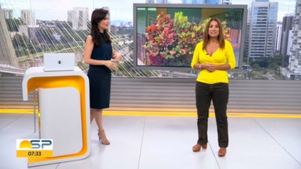 VÍDEOS: Bom Dia SP de sexta-feira, 17 de fevereiro de 2023 | Vídeos - Bom  Dia SP | G1