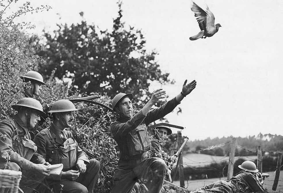 Voluntários locais de defesa (LDV, na sigla em inglês) treinando pombos-correio no noroeste da Inglaterra em 1940 — Foto: Getty Images via BBC
