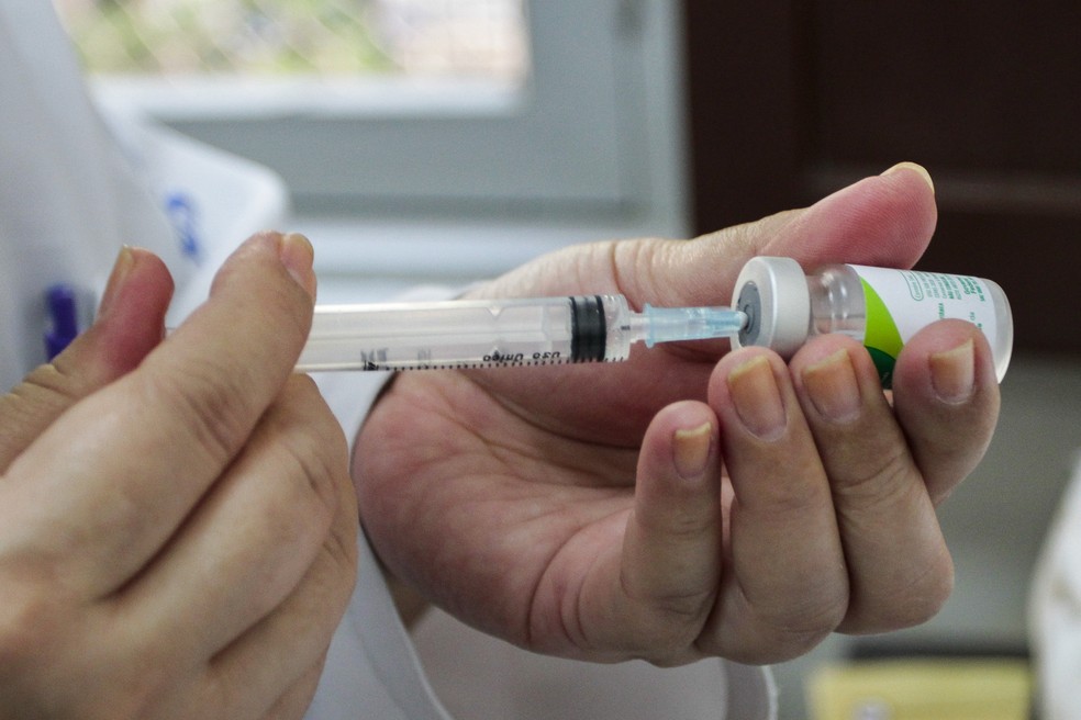 Campanha de vacinaÃ§Ã£o contra a gripe Ã© realizada atÃ© sexta (15) (Foto: Cristine Rochol/PMPA)