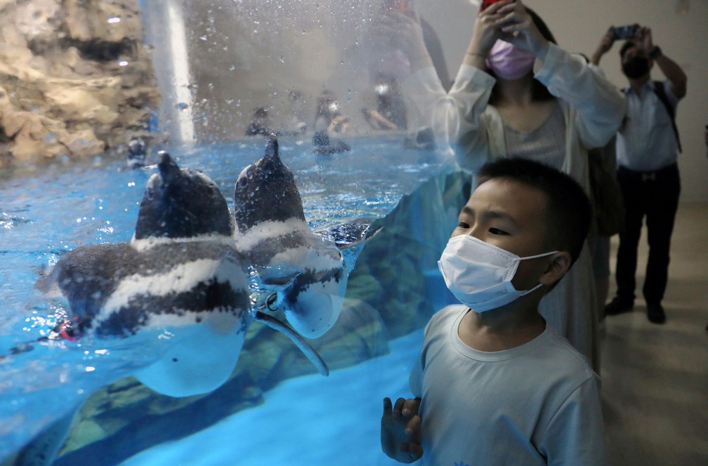 Visitantes usam máscarana reabertura de aquário na cidade de Taoyuan, em Taiwan, nesta sexta-feira (7)  — Foto: Ann Wang/ Reuters 