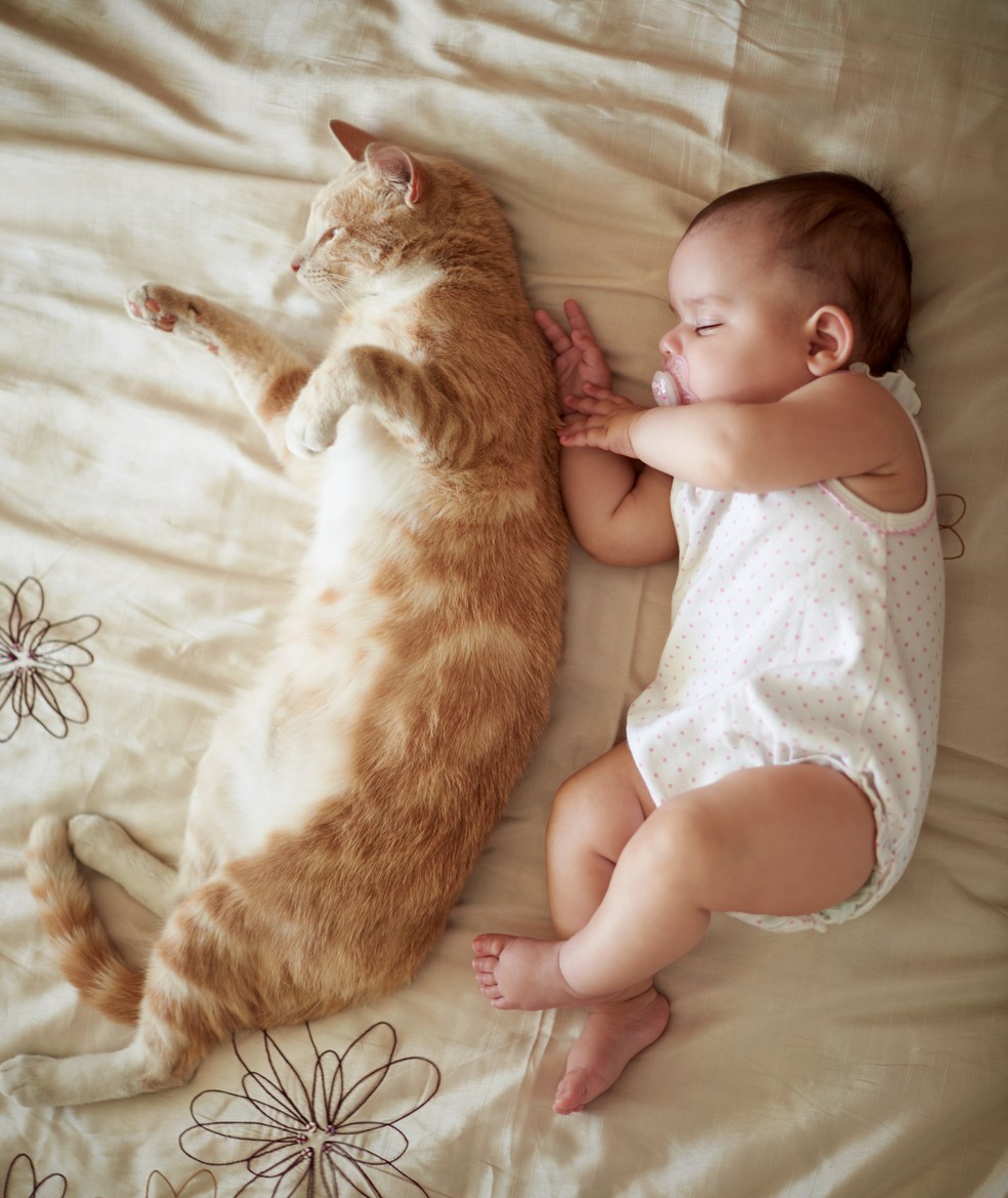 Gatos e bebês = "filhos"  Foto: Getty Images
