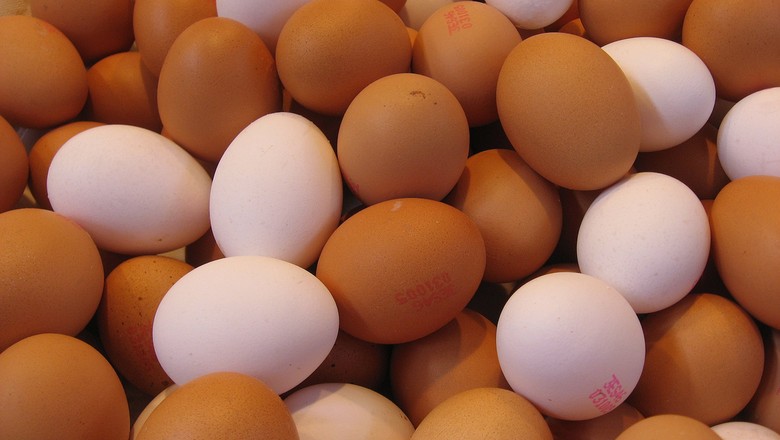ovos-aves-galinha-granja-galinheiro (Foto: 169clue/CCommons)