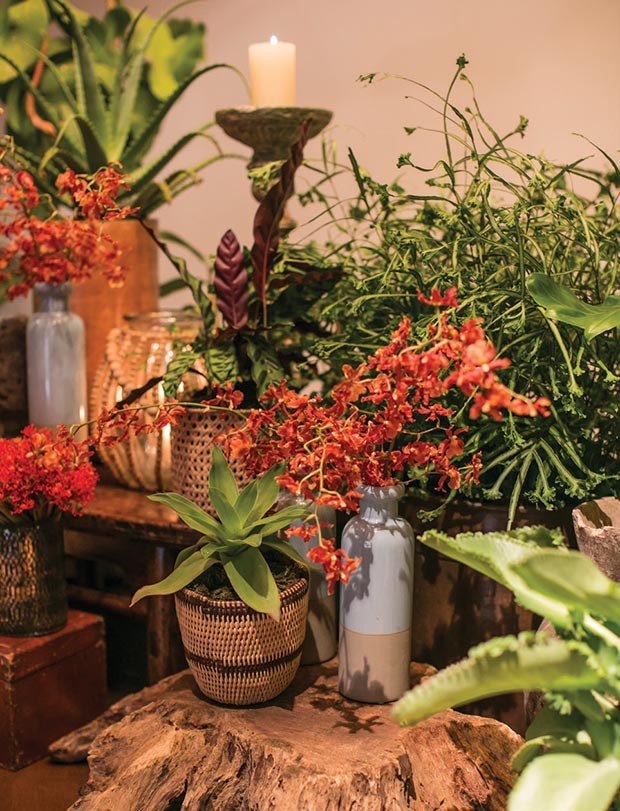 Decorações criadas pela Bothanica Paulista, que tem como foco vegetações plantadas em vasos, combinadas a elementos de madeira e cimento queimado (Foto: Divulgação)