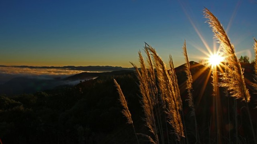 Parque Nacional São Joaquim, na Serra de SC. — Foto: ICMBio/Divulgação