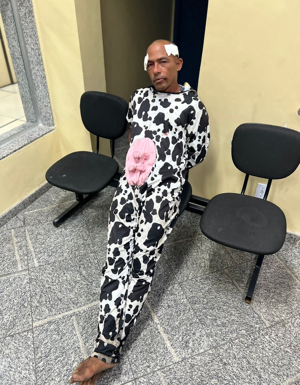 Homem vestido com fantasia de vaca foi preso no Rio — Foto: Divulgação