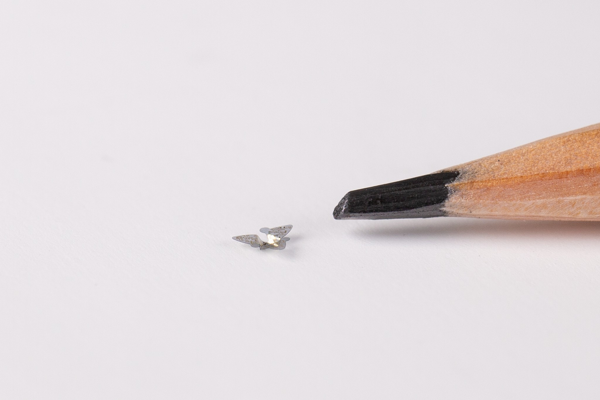 Pesquisadores projetaram microchip de cerca de 1 milímetro e estrutura de asas  (Foto:  Northwestern University)