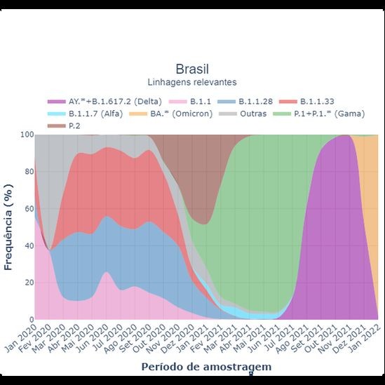 O gráfico mostra a dinâmica de variantes no Brasil. A gama (mancha verde) 'reinou absoluta' entre janeiro e julho de 2021. Aos poucos, ela foi substituída pela delta (mancha roxa) e, no início de 2022, a ômicron (mancha laranja) rapidamente se tornou dominante (Foto: Fiocruz via BBC News)