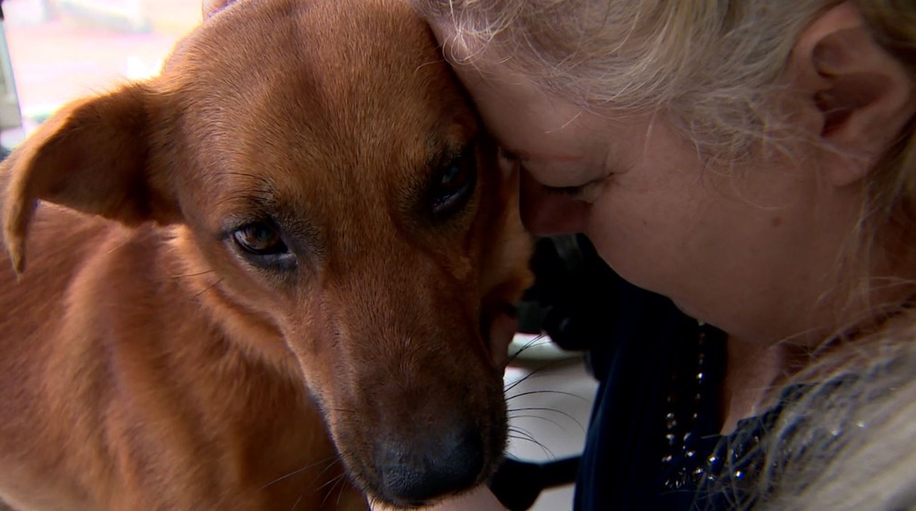 Mônica Pillon abraça Caramelo ao buscá-lo no lar temporário em Valinhos (SP): vira-lata ganhou '19 irmãos" — Foto: Pedro Santana/EPTV
