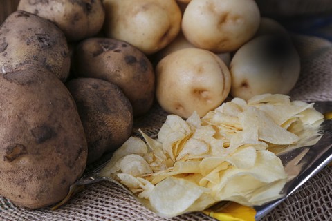 Produção de batatas chips em propriedade do Grupo Dzierwa, em Porto Amazonas (PR). Após a colheita, produto vira matéria-prima para produção de batatas chips pela PepsiCo