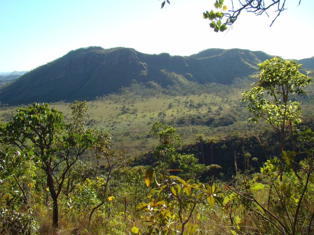 Dia Do Cerrado Ressalta A Importância Do Bioma Para O Brasil Terra Da Gente G1 1292