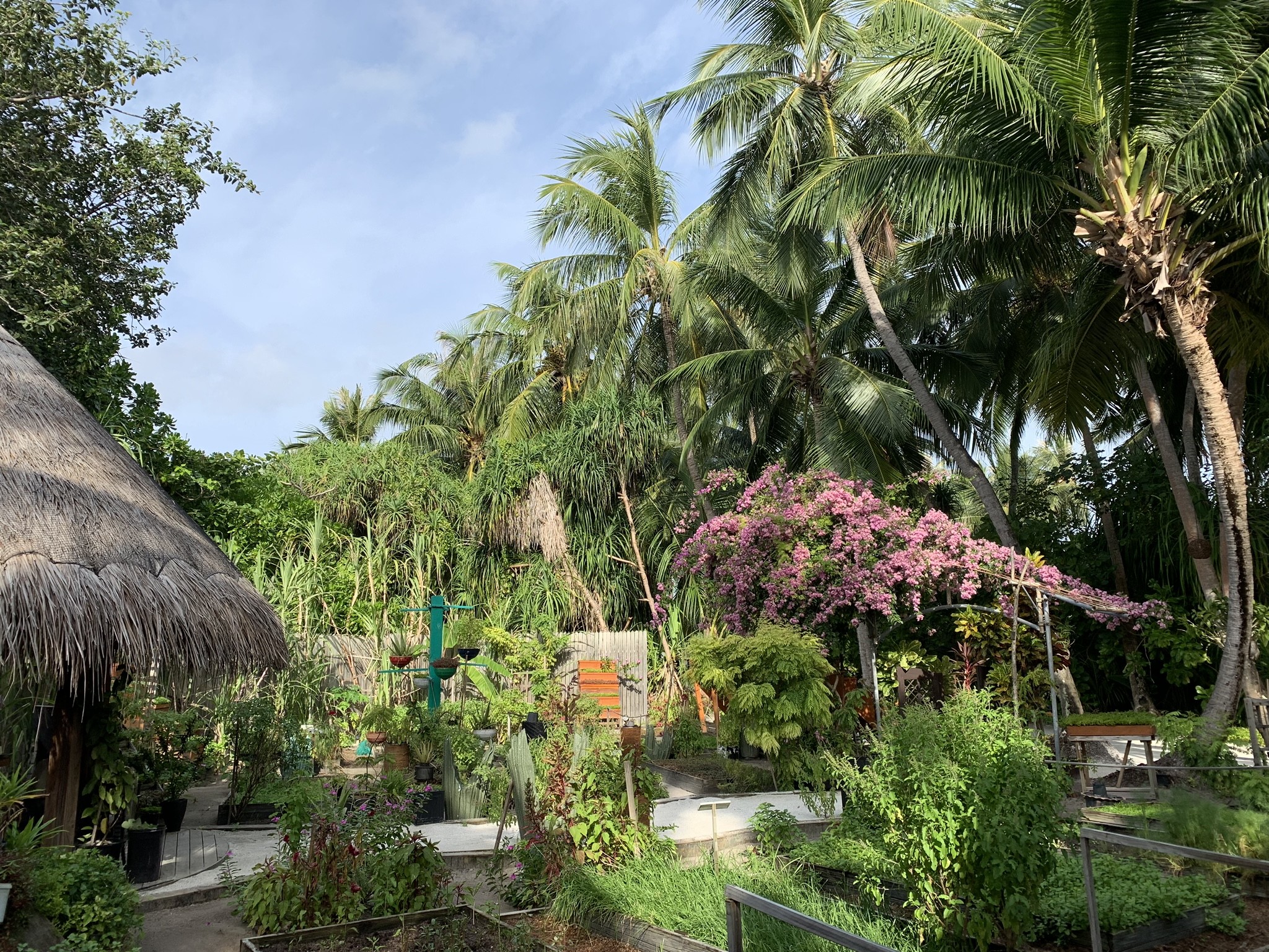 Nala Orchid Garden – Maldivas (Foto: Anantara Kihavah / Divulgação)