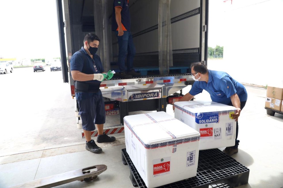 RN recebe carga com 15 mil doses de Coronavac &mdash; Foto: Sandro Menezes