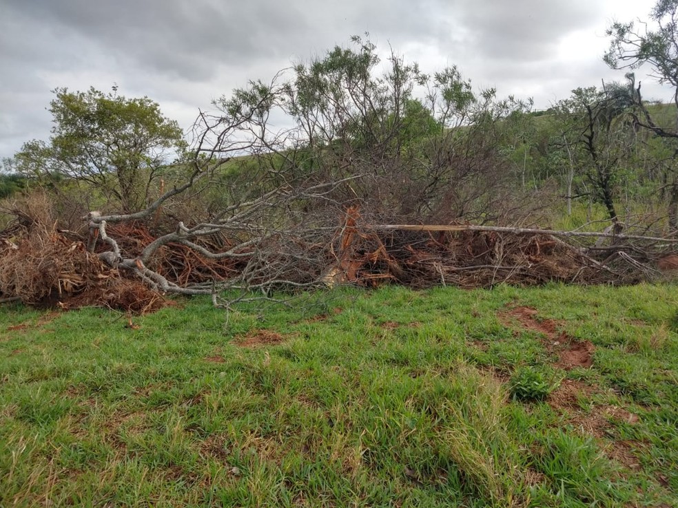 Fiscalização constatou danos ambientais em fazenda em Santo Anastácio — Foto: Polícia Militar Ambiental