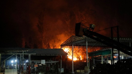 Governo chileno decreta estado de catástrofe após incêndios florestais causarem 13 mortes