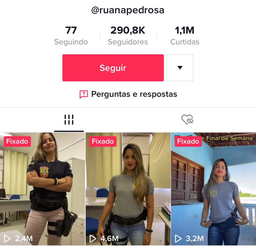 Ruana tem mais de 290 mil seguidores e vídeos que somam milhares de visualizações na rede social — Foto: Reprodução/TikTok