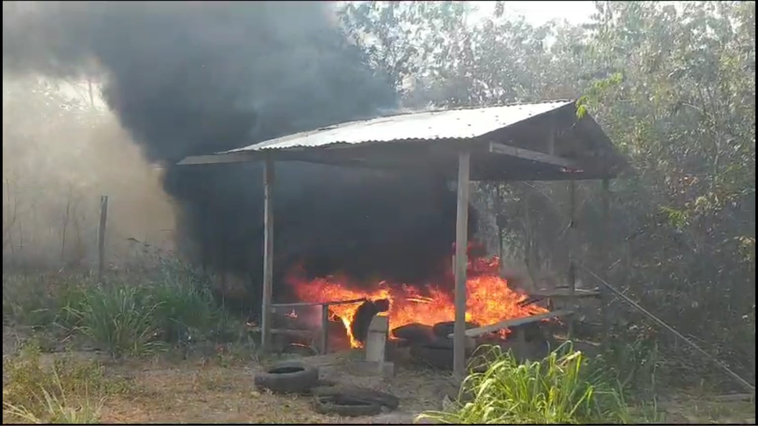 Incêndio destrói área de mata às margens da rodovia Everaldo Martins, em Santarém
