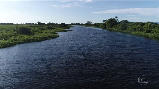 Pesquisadores estão preocupados com as mudanças climáticas no Pantanal