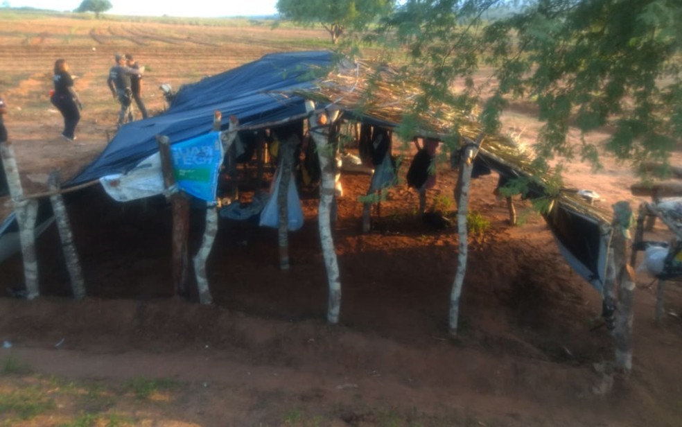 Estrutura de irrigação com canos, mangueiras, poço artesiano foram achados durante apreensão de pés de maconha no norte da Bahia — Foto: Divulgação/Polícia Civil