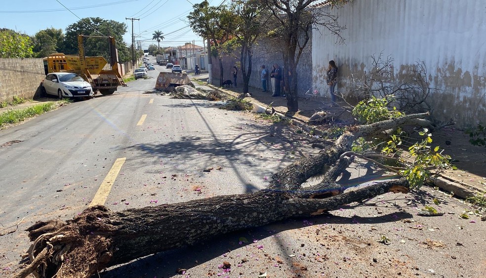 Caminhão com caçambas provoca acidente e estragos em rua de Marília — Foto: Carolina Levorato/TV TEM