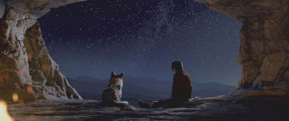'Alfa' é uma das estreias da semana nos cinemas do RN (Foto: Divulgação)