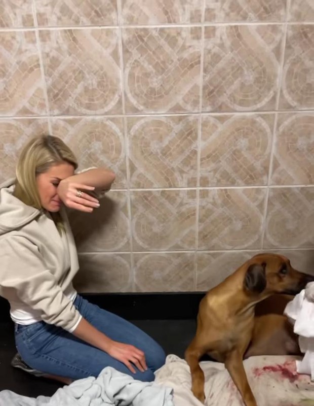Ana Hickmann ajuda cadela em parto (Foto: Reprodução/Instagram)