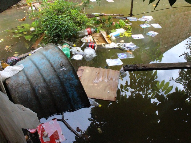 Lixo doméstico fica é levado pelas águas do Rio Madeira (Foto: Ivanete Damasceno/G1)