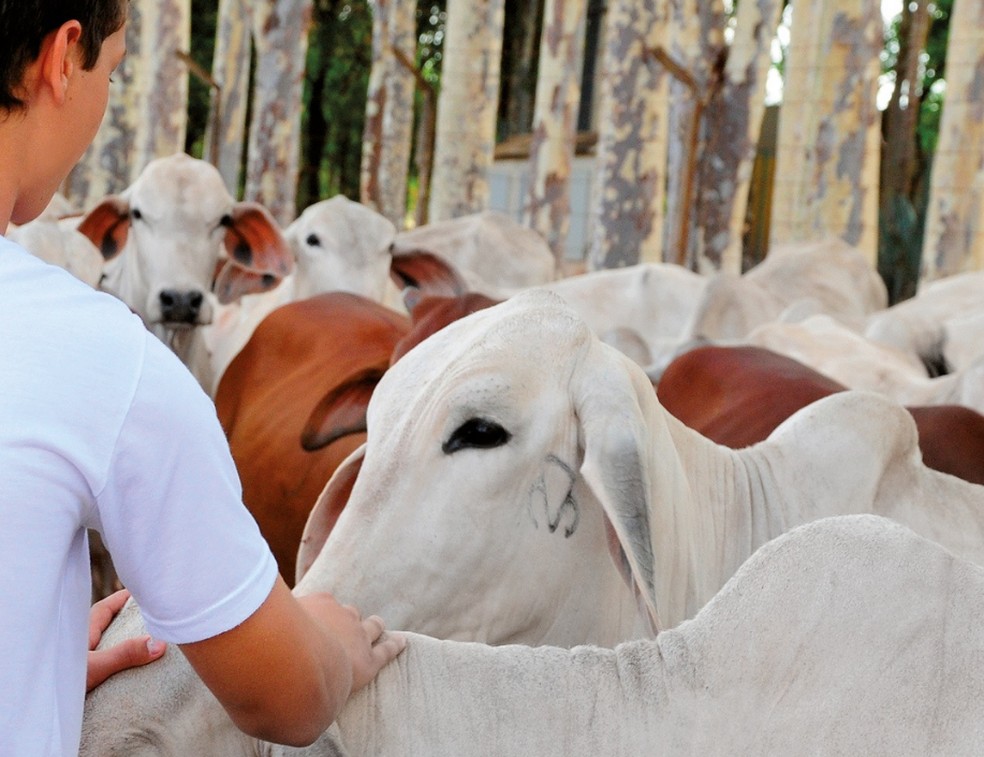 Senar-RN abre 160 vagas para o curso de técnico em zootecnia — Foto: Divulgação Fazu