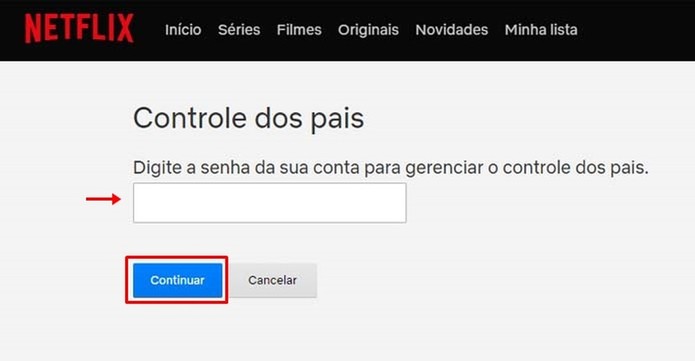 Insira sua senha da Netflix (Foto: Reprodução/Taysa Coelho) Insira sua senha da Netflix (Foto: Reprodução/Taysa Coelho)