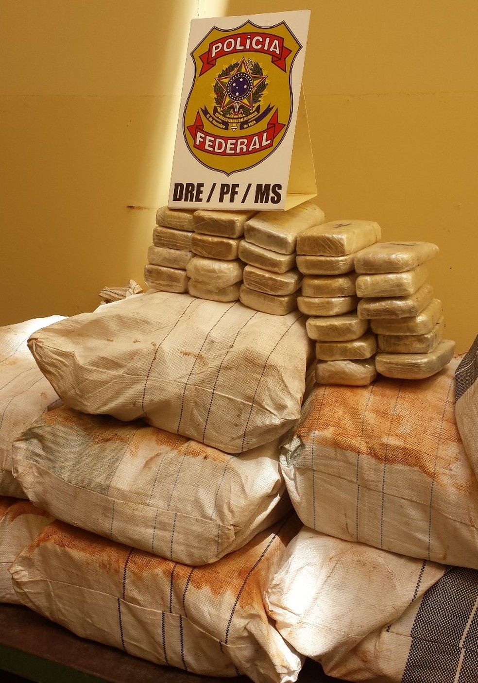 Tabletes de cocaína estavam escondidos em meio à carga de soja (Foto: PF/Divulgação)