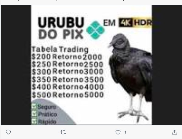 Urubu do PIX (Foto: Reprodução/Twitter)