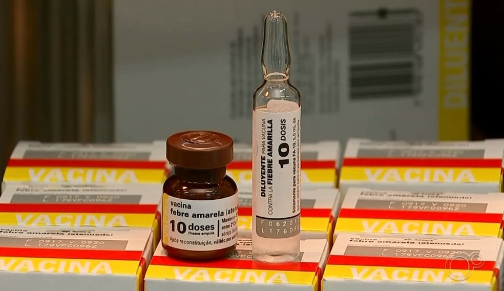 Pais deixam de levar crian&ccedil;as para tomar vacinas por conta da pandemia &mdash; Foto: Reprodu&ccedil;&atilde;o/TV TEM
