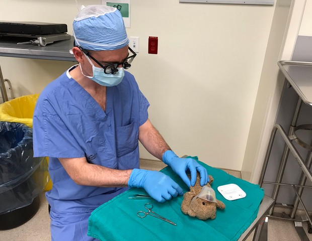 A pedido do paciente, neurocirurgião faz operação em urso de pelúcia (Foto: Reprodução Twitter)