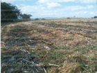 MPF denuncia empresa por queima de 160 hectares na Serra da Canastra