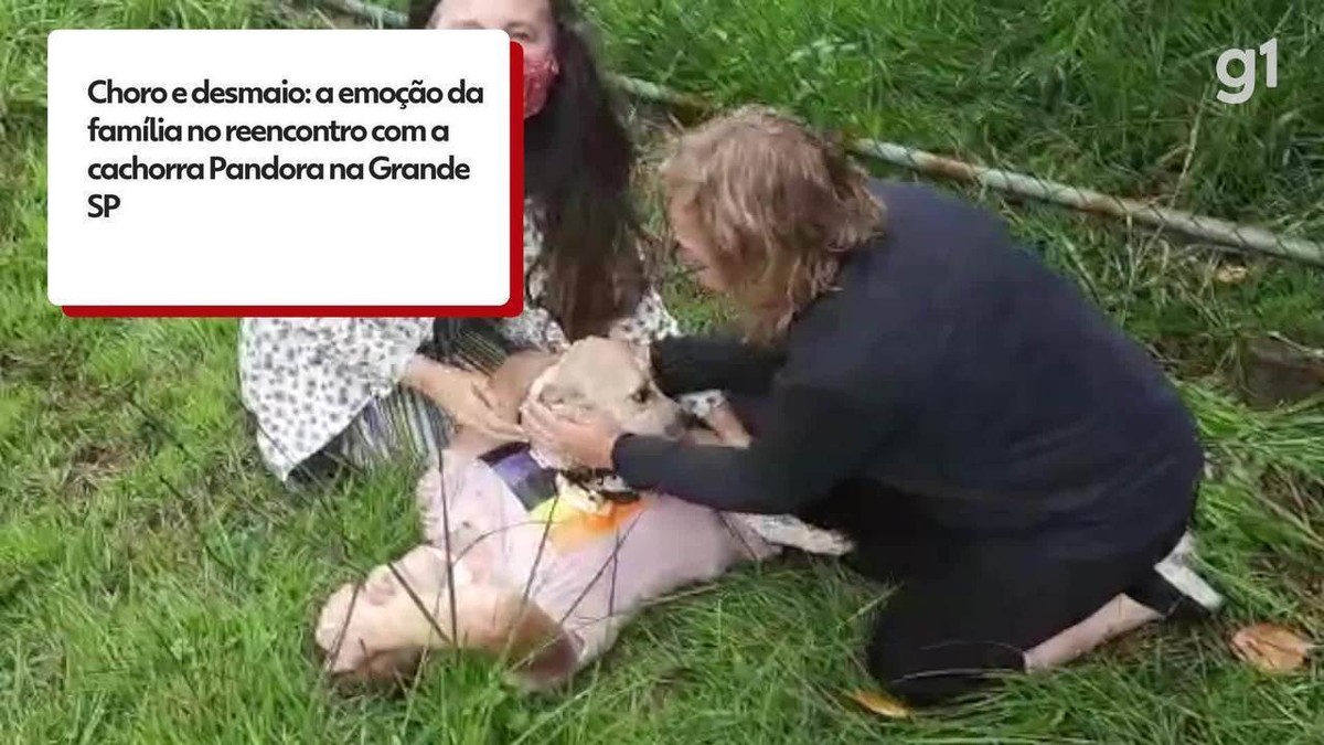 Choro e desmaio: veja o momento do reencontro da família com a cachorra Pandora em Guarulhos, na Grande SP | São Paulo