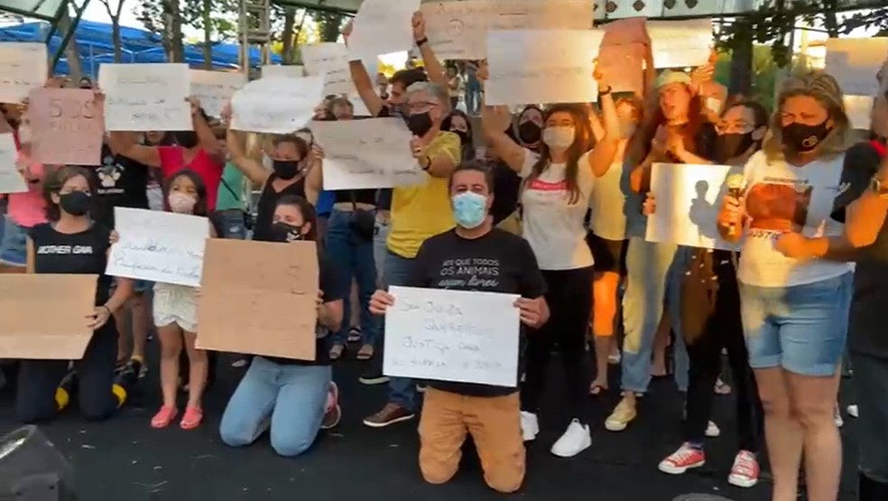 Manifestantes protestam contra decisão judicial que devolve tutela de búfalos vítimas de maus-tratos ao dono de fazenda em Brotas  — Foto: Redes sociais