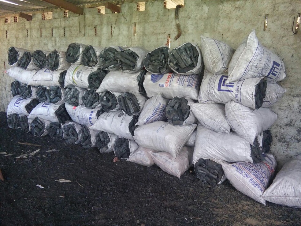 Carvão produzido de forma irregular foi apreendido (Foto: Polícia Militar/Divulgação)