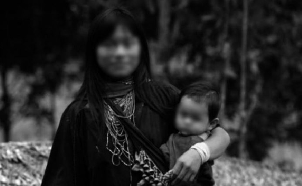 Obra leva em consideração a cultura indígena para montar obra voltada para as escolas dentro das aldeias  — Foto: Reprodução