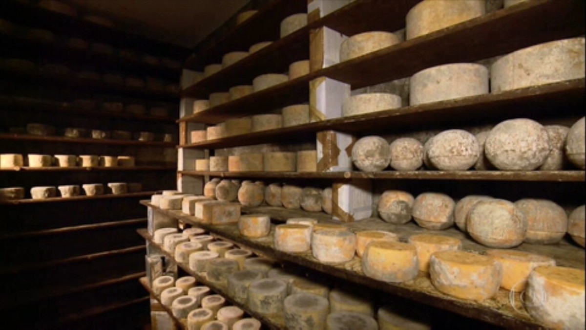 SP tem queijo premiado até na França; conheça a produção no estado thumbnail