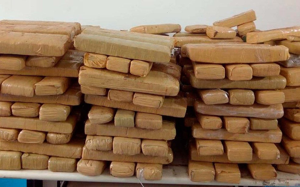 PolÃ­cia apreendeu 300 kg de droga em tabletes, na Bahia  â?? Foto: DivulgaÃ§Ã£o/PolÃ­cia Civil