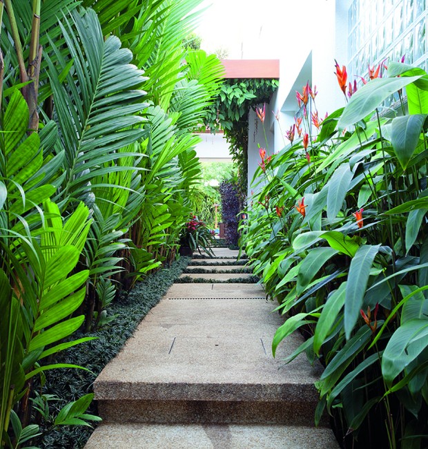 Corredores - As áreas de circulação costumam ser estreitas, por isso evite espécies com espinhos e folhas pontiagudas, como iuca, cica e dasilirium. Projeto de Claudia Diamant. (Foto: Casa e Jardim)