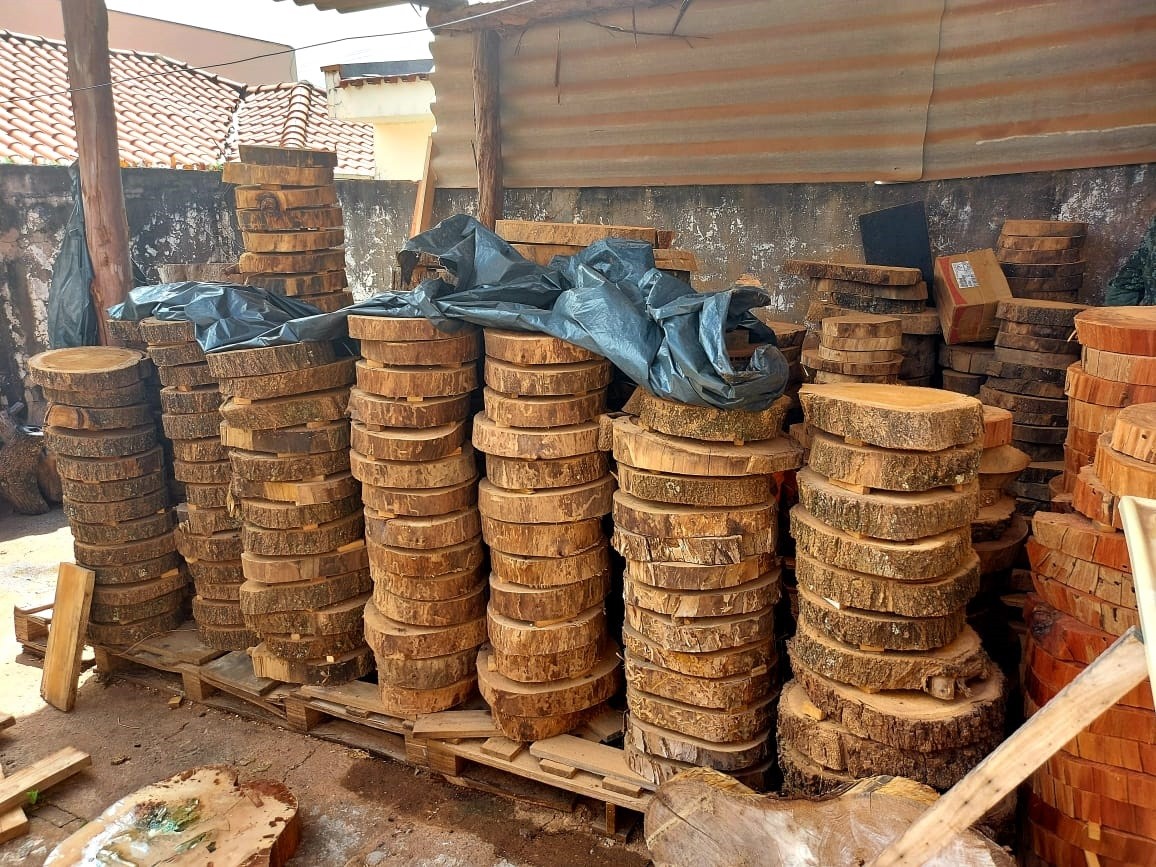 Artesão leva multa de R$ 15,5 mil por manter depósito irregular de madeira nativa em Presidente Prudente thumbnail