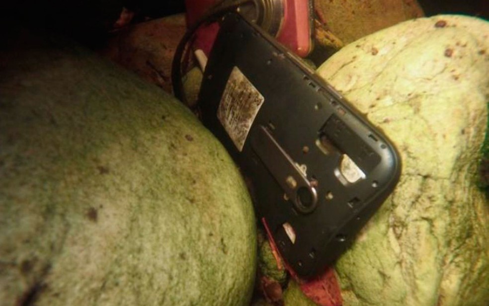 Polícia disse ter encontrado celular que pode ser de vítima (Foto: Divulgação/Polícia Civil)