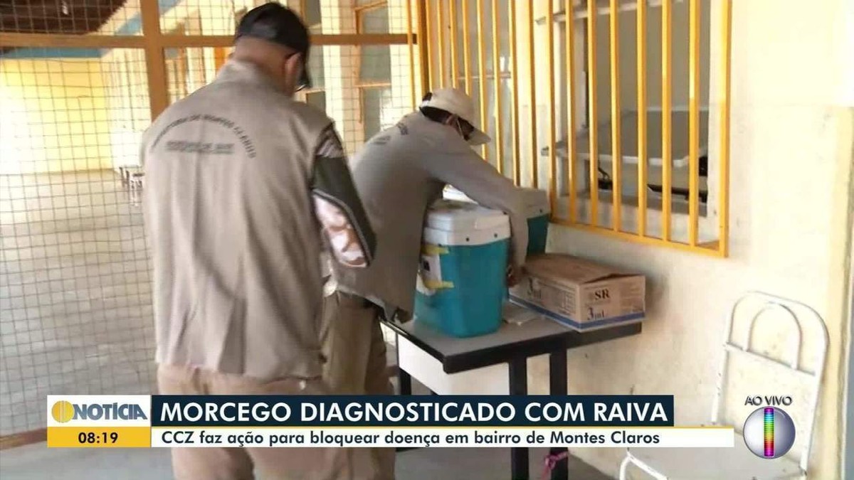 Prefeitura de Montes Claros faz bloqueio contra raiva após caso positivo em morcego  