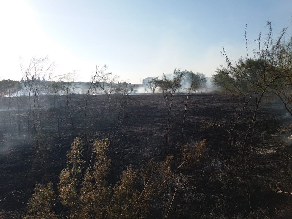 Fogo atinge vegetaÃ§Ã£o em Ã¡rea de proteÃ§Ã£o ambiental de Iguatu, no CearÃ¡ â€” Foto: Wandenberg BelÃ©m