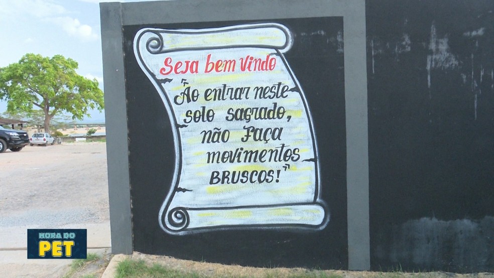 Grupo de 15 cães integra equipe de policiais no Bope em Roraima ...