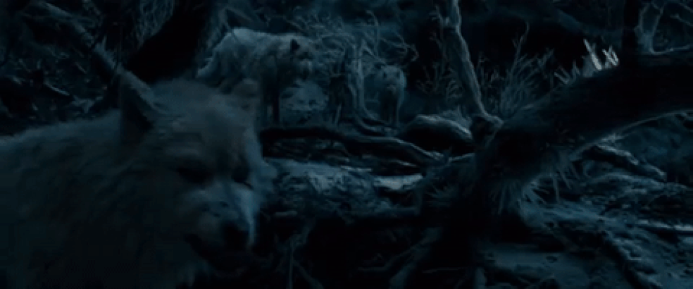  (Foto: Reprodução)