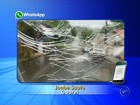 Motorista registra destruição de vidro de veículo em chuva de granizo; vídeo
 